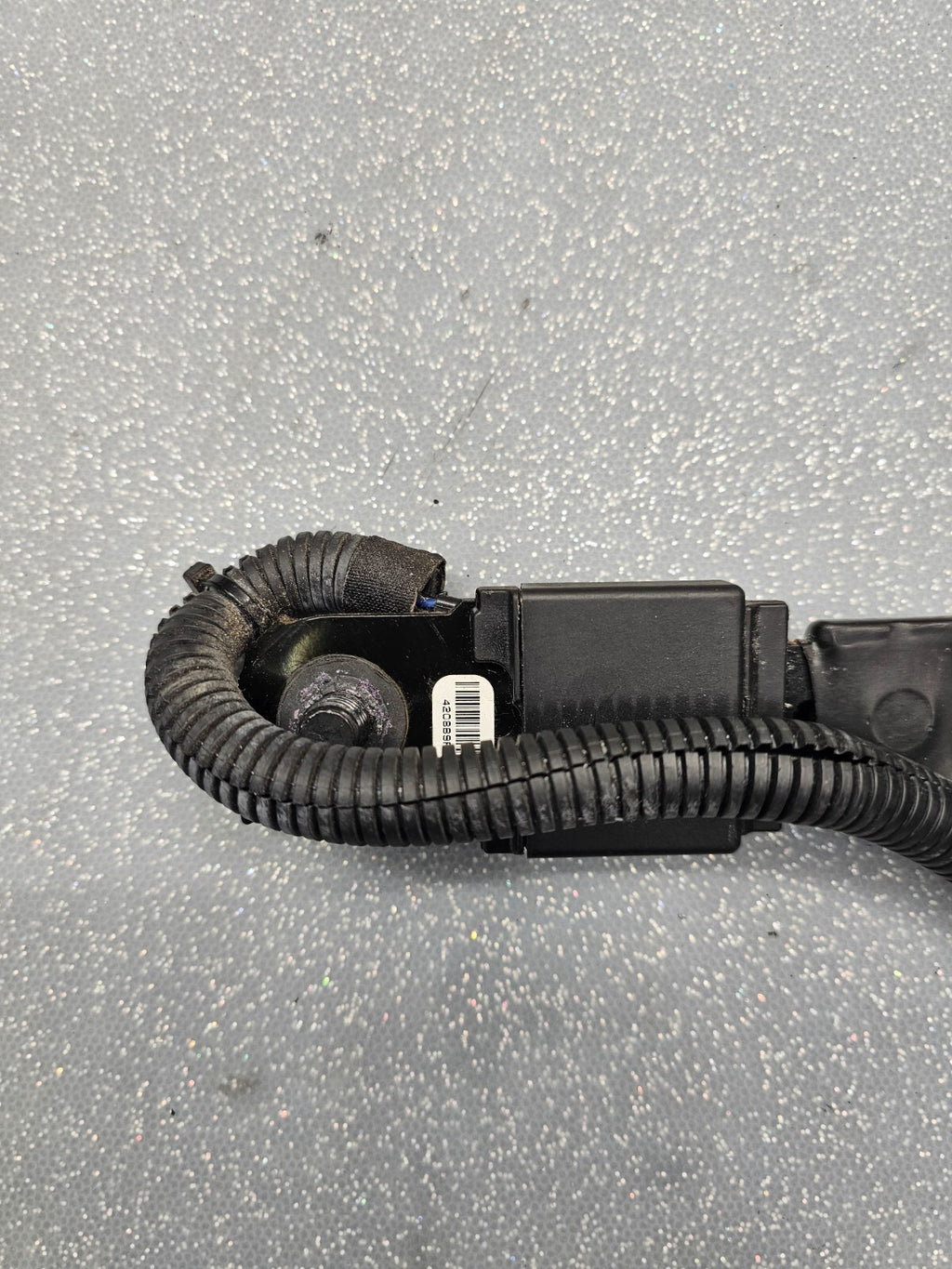 🔥2013-2014 Ford Focus Seat Belt Seatbelt Buckle Front Right Passenger Side
