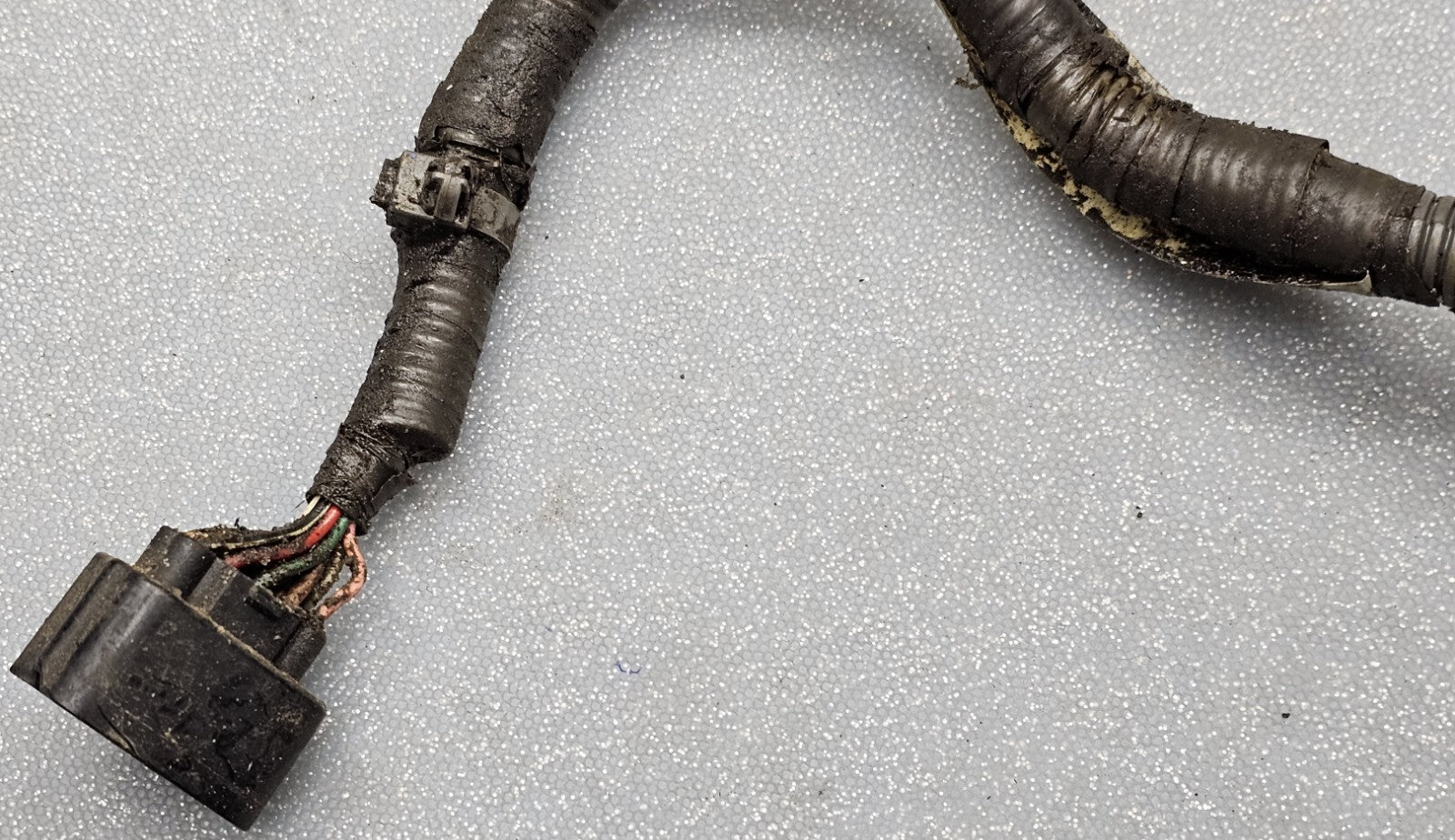 01-05 Civic 1.7L AT Harness Gear Position Sensor Neutral Safety Switch Wires OEM