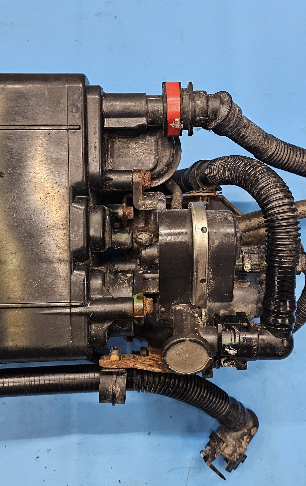 12-13 TOYOTA COROLLA FUEL VAPOR CHARCOAL EVAP EMMISION CANISTER ASSEMBLY GENUINE