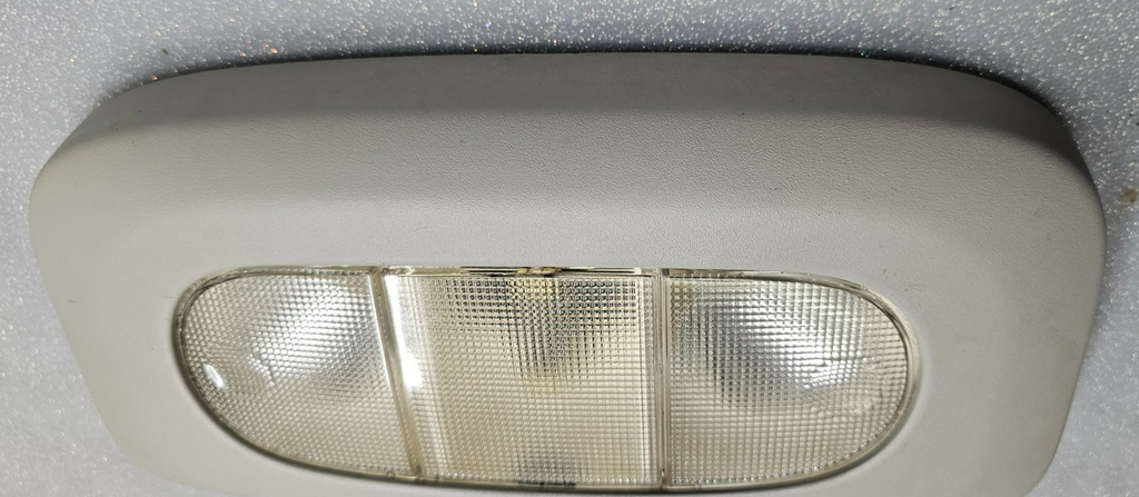 🔥04-08 Ford F-150 F150 Overhead Console DOME Map Light Lamp Assembly Gray OEM