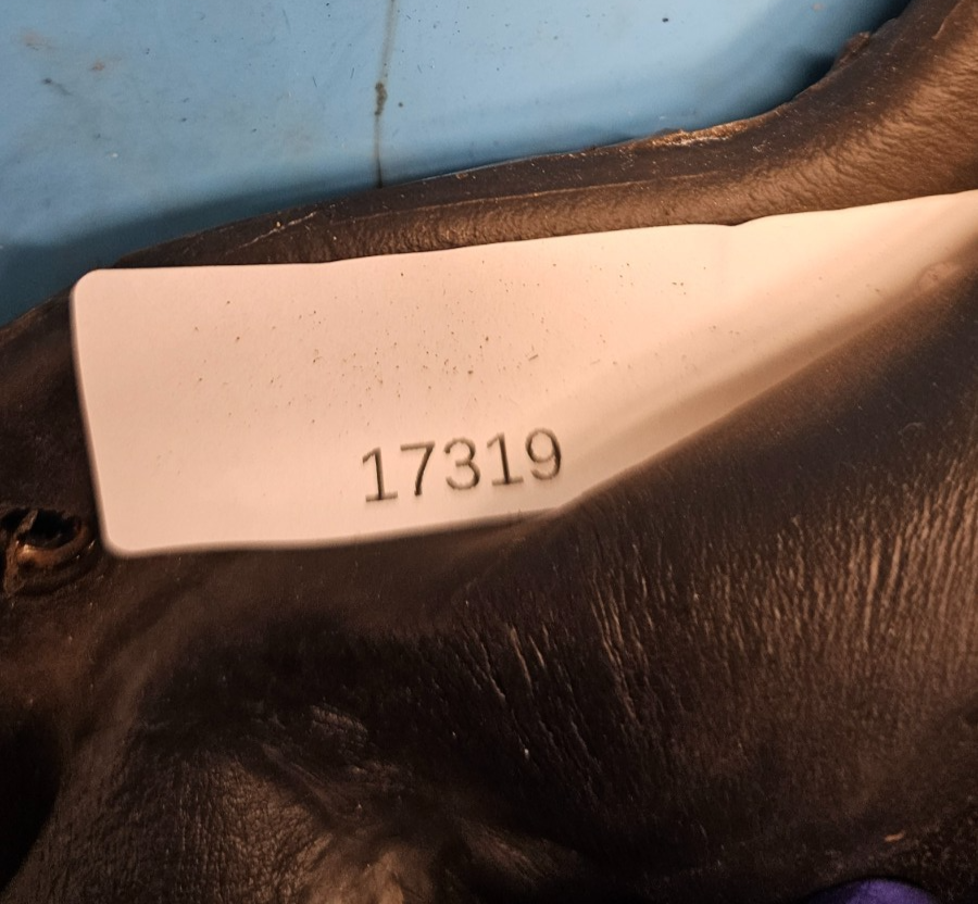 🔥94-97 Dodge Ram 1500 2500 Floor Gear Shifter Shift Boot Bezel Leather Black