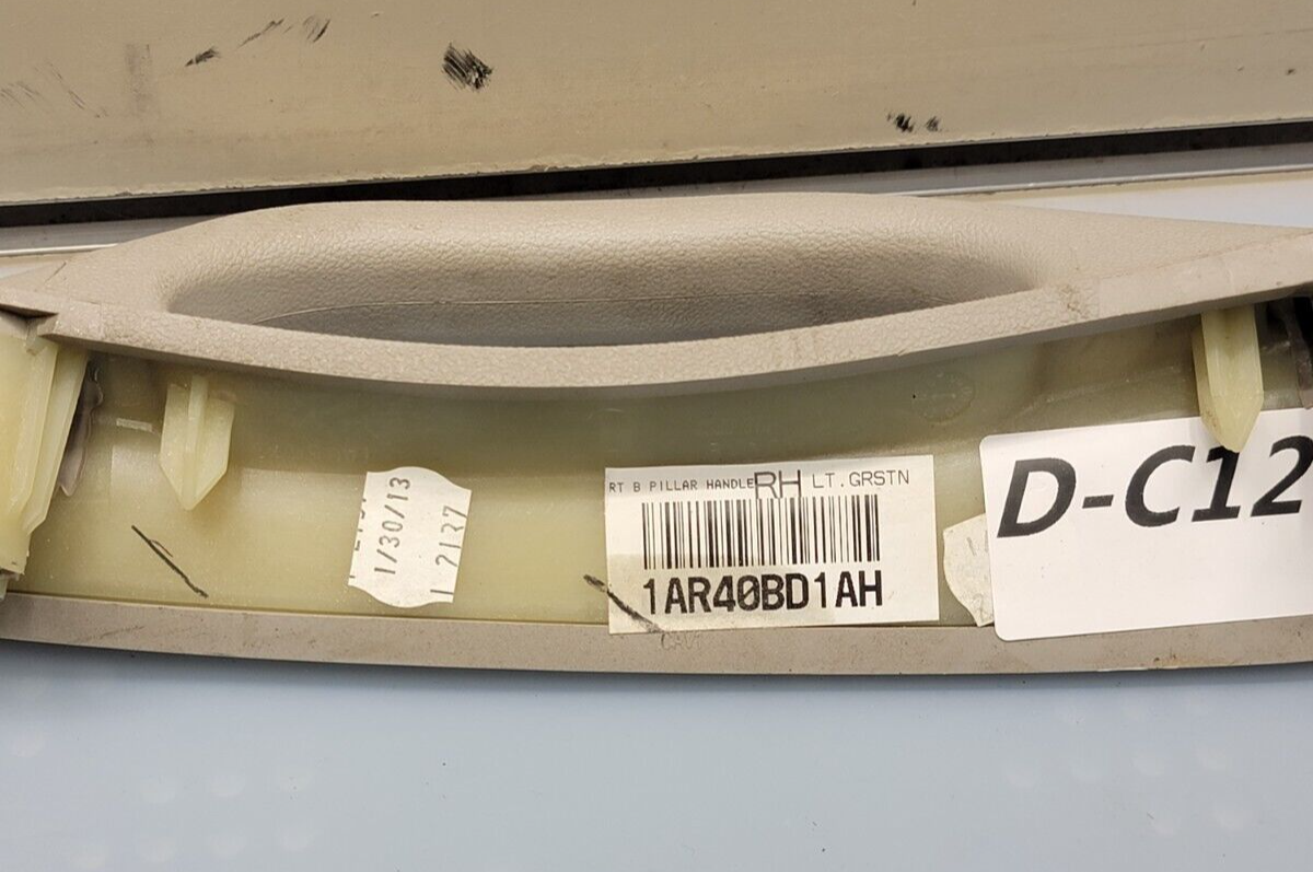 🔥11-20 DODGE GRAND CARAVAN TOWN & COUNTRY GRAB HANDLE LEFT DRIVER MOPAR TAN OEM