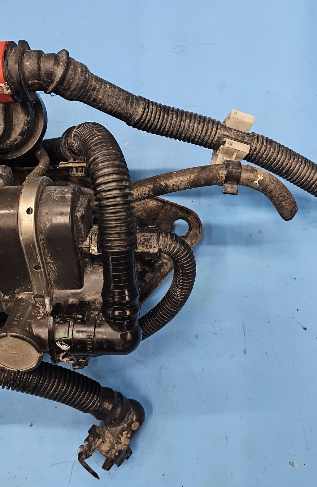 12-13 TOYOTA COROLLA FUEL VAPOR CHARCOAL EVAP EMMISION CANISTER ASSEMBLY GENUINE