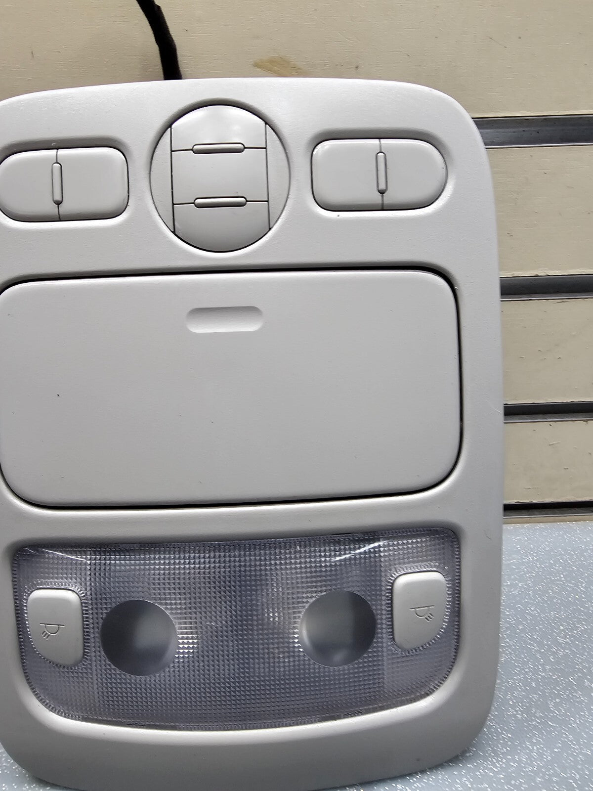 🔥06-14 Sedona Hyundai Entourage Overhead Console Dome Light Lamp Assembly GRAY