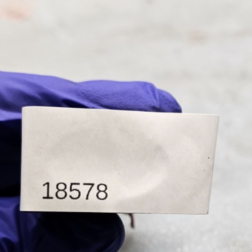 🔥02-23 Nissan X-Trail T30 Rear Window Glass Heater Dash Switch Panel Black