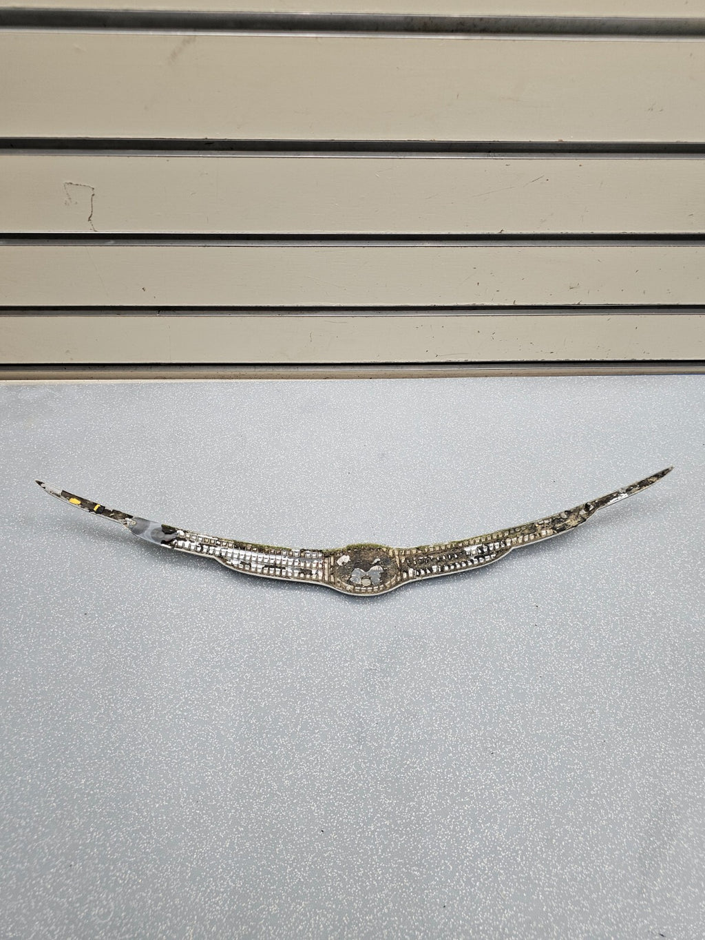 🔥01-05 Chrysler PT Cruiser Front Hood Wing Badge Emblem Symbol SCRIPT NAMEPLATE