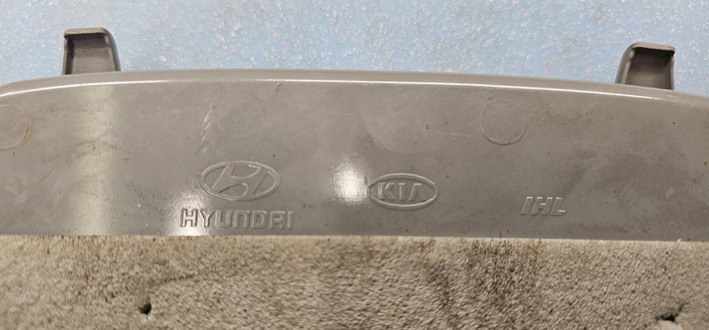 🔥2005-2010 HYUNDAI TUCSON OVERHEAD CONSOLE DOME LIGHT STORAGE TAN OEM