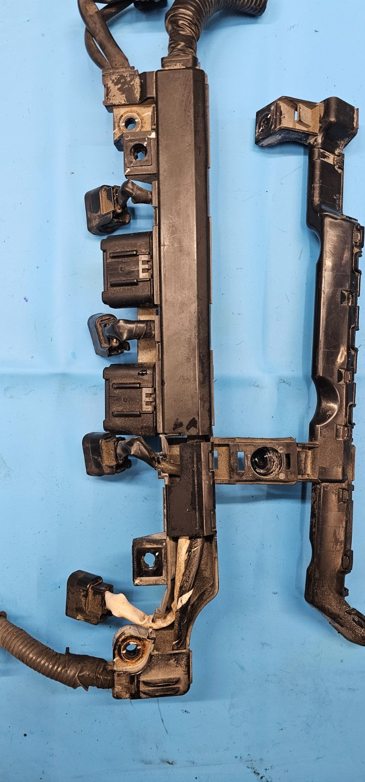 🔥01-05 HONDA CIVIC ENGINE VALVE COVER WIRE HARNESS IGNITION COIL PIG TAILS OEM