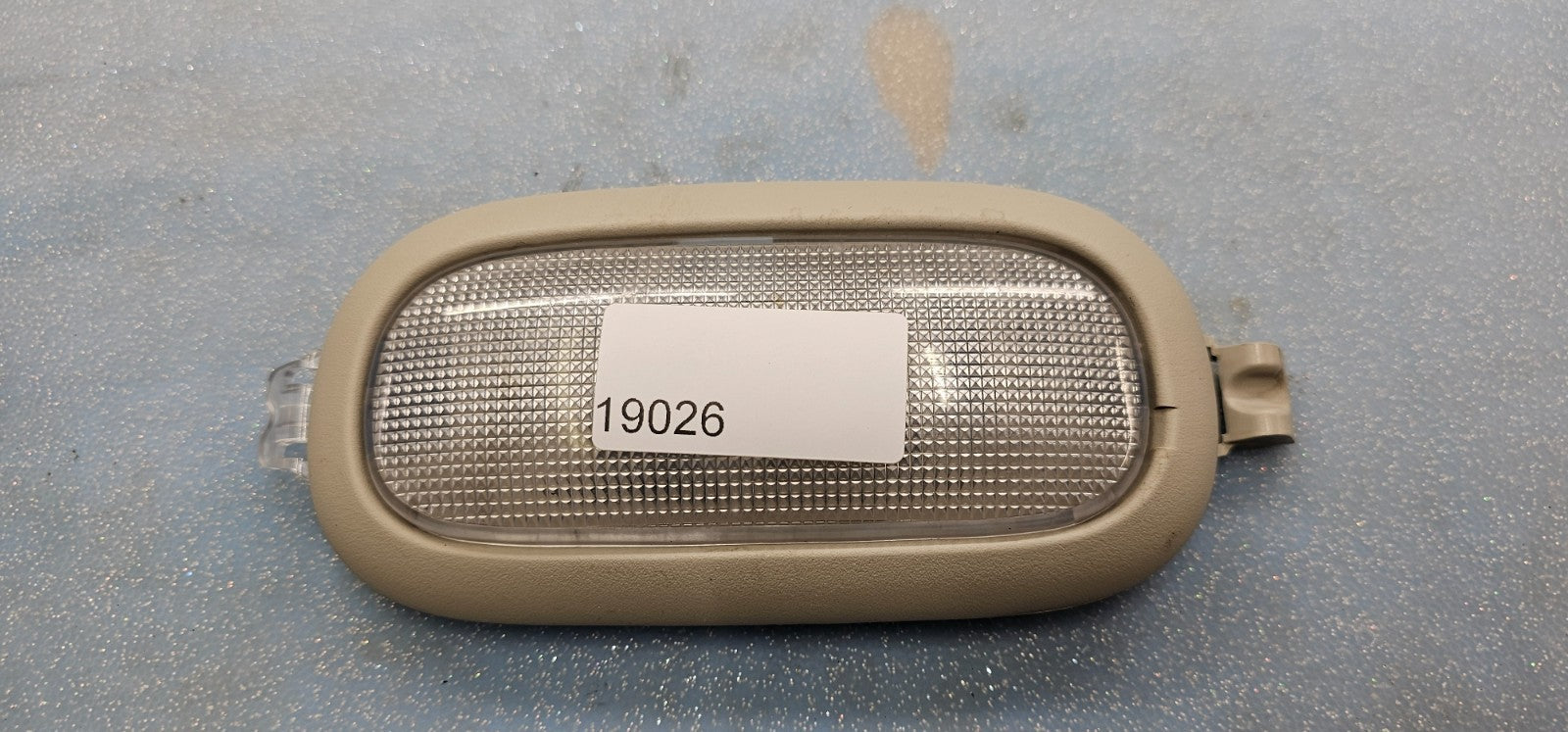 🔥03-20 Cravan Journey Dakota Overhead Console Rear Dome Light Push Lamp Tan OEM