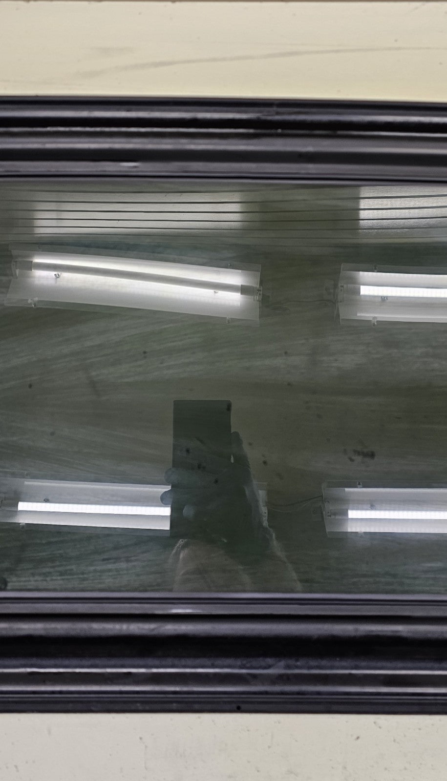 05-10 Honda Odyssey Sun Roof Sunroof Window Glass OEM